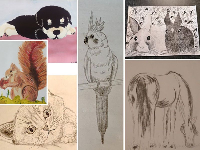Tiere malen oder zeichnen